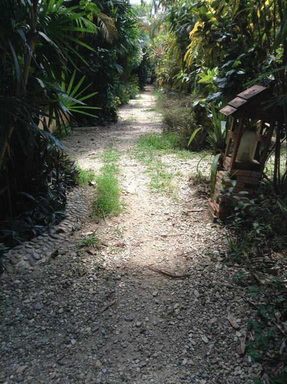 מה סאי Bansuan Resort מראה חיצוני תמונה