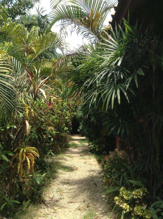 מה סאי Bansuan Resort מראה חיצוני תמונה